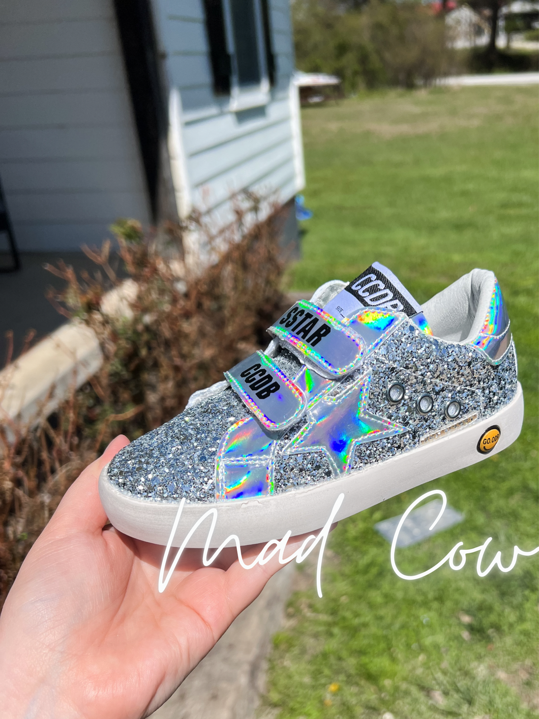 Silver Sneaks (2)